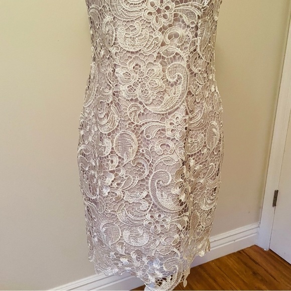 Francesca’s Lace Overlay Mini Dress – Silver/White, Elegant, Size Medium - Picture 11 of 13